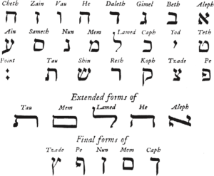 Torah Geometry - Amplifying Brains